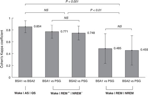 Kappa Inter-Rater Reliability 的图像结果