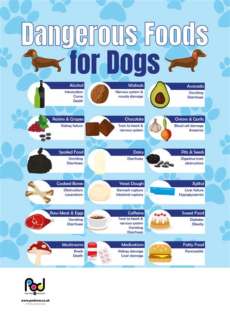 Most Dangerous Foods For Dogs Poster at Dane Lott blog