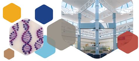 Image result for Identification Test Method Validation