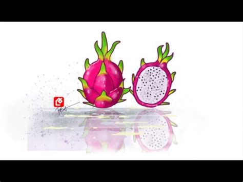 Image result for Tutorial User App
