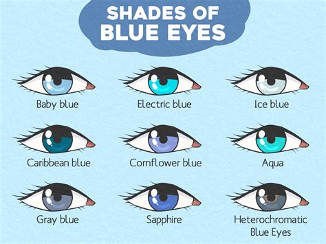 The Different Shades of Blue Eyes (+ What Color Are Yours?)