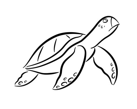 Simple Sea Turtle Drawing