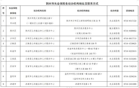 荆州：社银合作 46项高频社保业务“就近办”_荆州新闻网_荆州权威新闻门户网站