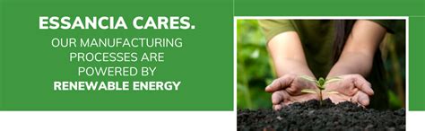 Essancia Mogra Essential Oil for Relaxation & Skin Rejuvenation - 100% ...