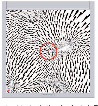 Image result for Vector Space Visualization