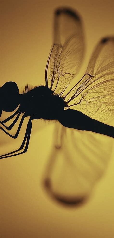 Image result for Android 14-Screen