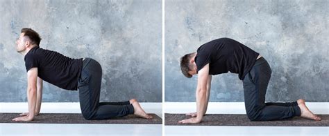 Spa Session साठी पैसा खर्च करण्यापेक्षा Yoga चा Stress Free फंडाच बरा ...