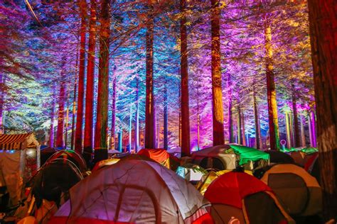 Northern Nights Festival in Piercy at Cook's Valley Campground