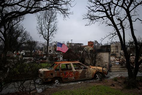 In pictures: Los Angeles continues cleanup after Palisades fire - March ...
