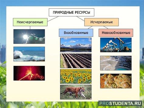 Возобновляемые и невозобновляемые ресурсы: исчерпаемость природных ...