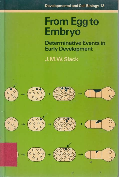 Buy From Egg to Embryo: Determinative Events in Early Development ...
