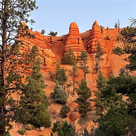 Red Canyon Campground | Dixie National Forest, Utah