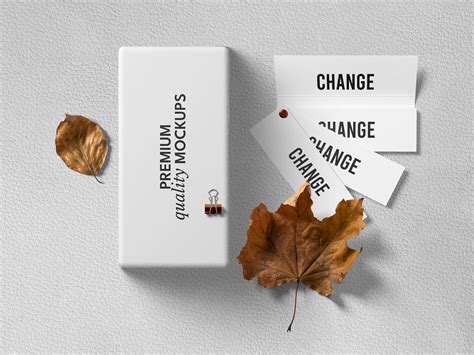 Sample Image 的图像结果