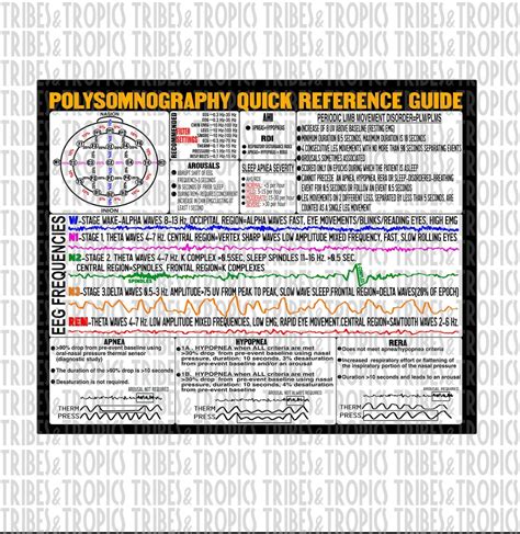 Polysomnography Scoring Reference Guide PNG, Sleep Tech, Sleep Technologist, RPSGT Digital ...