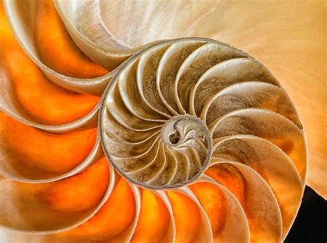 Patterns In Nature Photo Contest Finalists! - VIEWBUG.com