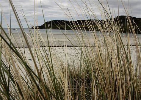 CALGARY BEACH (2025) All You Need to Know BEFORE You Go (with Photos ...