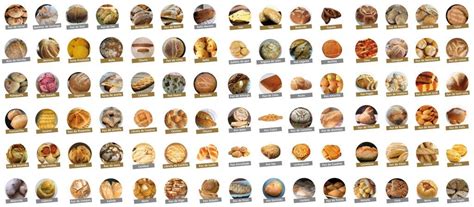Image result for JavaSkript Cafe