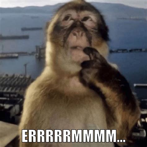 Rage Bait Monkey and Lion