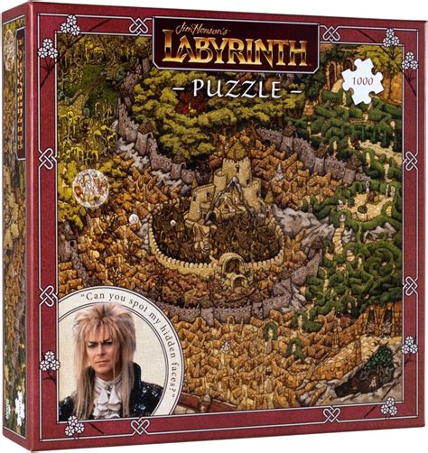 Image result for Labyrinth Puzzles
