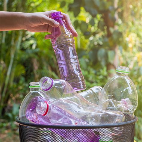 Tips to Reduce Plastic Bottle Waste – Ecoline Clothing : India's 1st ...