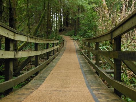 Walking Trails - Little Whale Cove