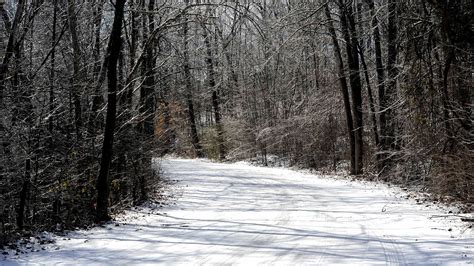 Nashville winter storm: How much snow is Middle Tennessee getting?