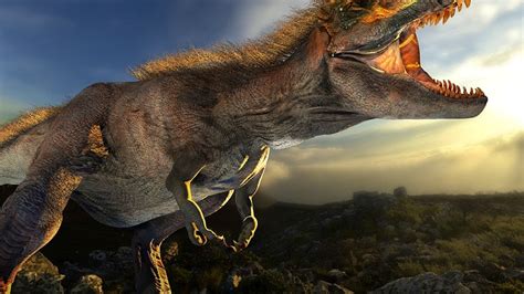 Image result for Evolution Course