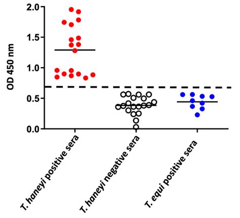 Development of an Indirect ELISA to Detect Equine Antibodies to ...