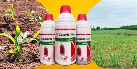 Calaris Xtra | Syngenta
