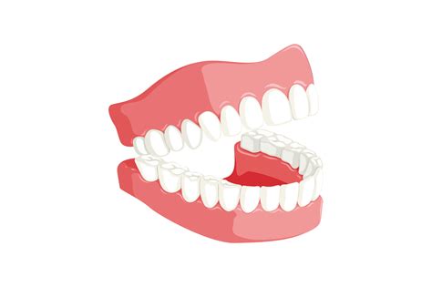 Orthodontist vs. Dentist: What Are the Differences?