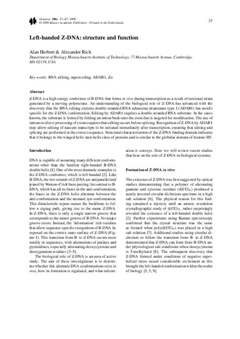 Image result for Z-DNA Function