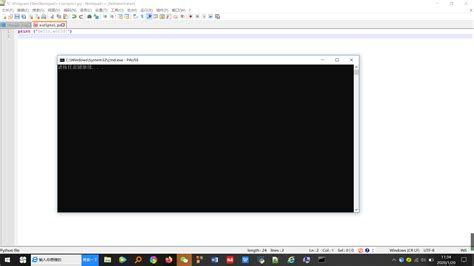 Notepad++ Python 的图像结果