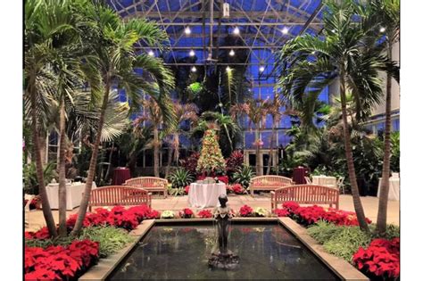 Roger williams botanical garden wedding 60 photos - Astyledwedding.com