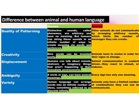 Arbitrary In A Sentence