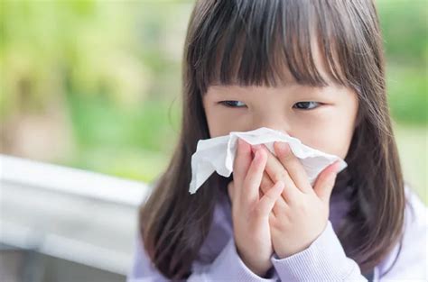 Image result for Data Definition Language Example