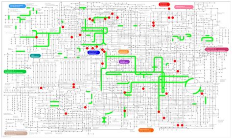 Integration of Transcriptomics and Metabolomics Reveals the Antitumor ...