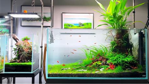 Buy Azure OCEAN Ultra Clear 17.1 Gallon Rimless Low Lron Aquarium Tank ...