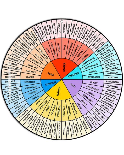 Buy VROCUSE Feelings Wheel Large 12 inch, Acrylic Emotion Wheel Chart ...