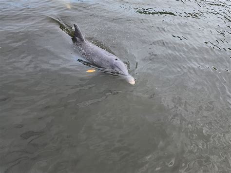 TREASURE COAST CRUISES (Updated 2026) All You Need to Know BEFORE You ...