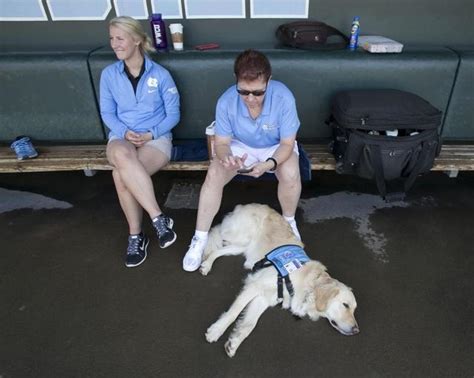 How a therapy dog became part of UNC’s baseball team | Raleigh News ...