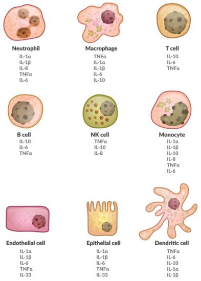 Cytokines in Inflammatory Disease