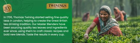Twinings Green Tea Cranberry, 25 Teabags, Zingy Sharpness of Cranberry ...
