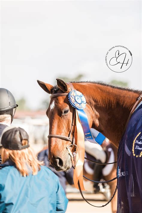 Paso Robles Horse Park - Elizabeth Hay Photography