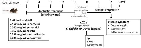 Effect of Doxycycline in Decreasing the Severity of Clostridioides ...