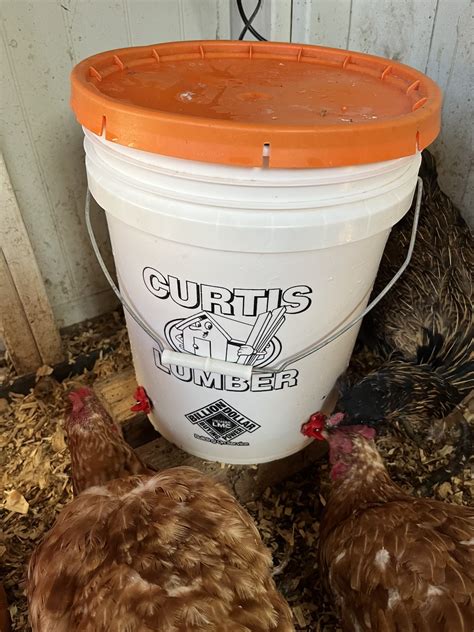 Homemade Chicken Water Heaters at Ronald Piper blog