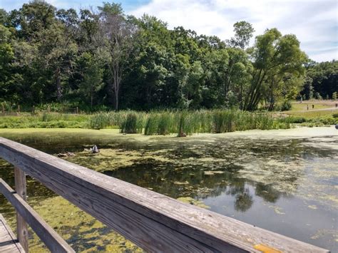 Cottage Grove Tourism (2024): All You Need to Know Before You Go