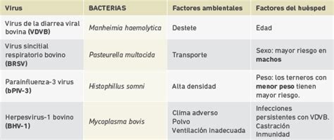 Enfermedades respiratorias | Bovino