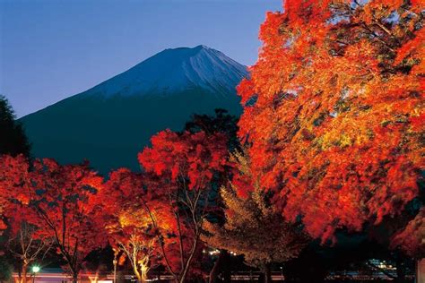 Japan 富士山 的图像结果