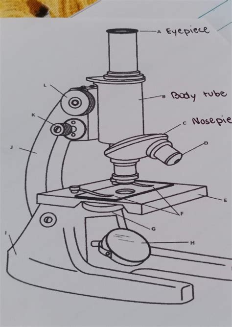 Image result for Compound Microscope with Label