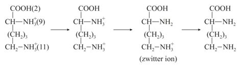 Lysine has pKa , 1,pKa , 2,pKa , 3 values 2,9 and 11 respectively. Then ...